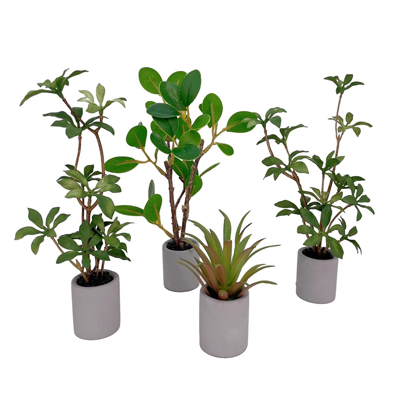 Smart Garden Mini - 1:6 domek dla lalek miniaturowa roślina
