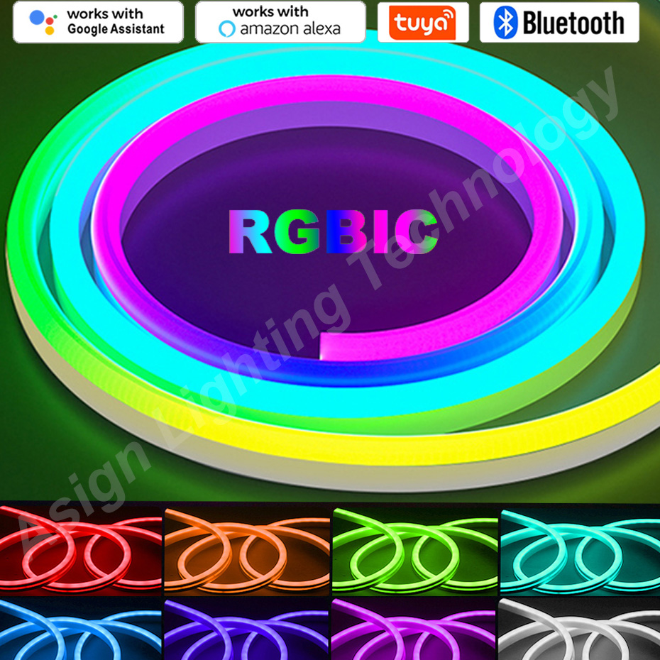 App Smart Garden - RGBIC LED Neon Strip 12V 96LEDs/M