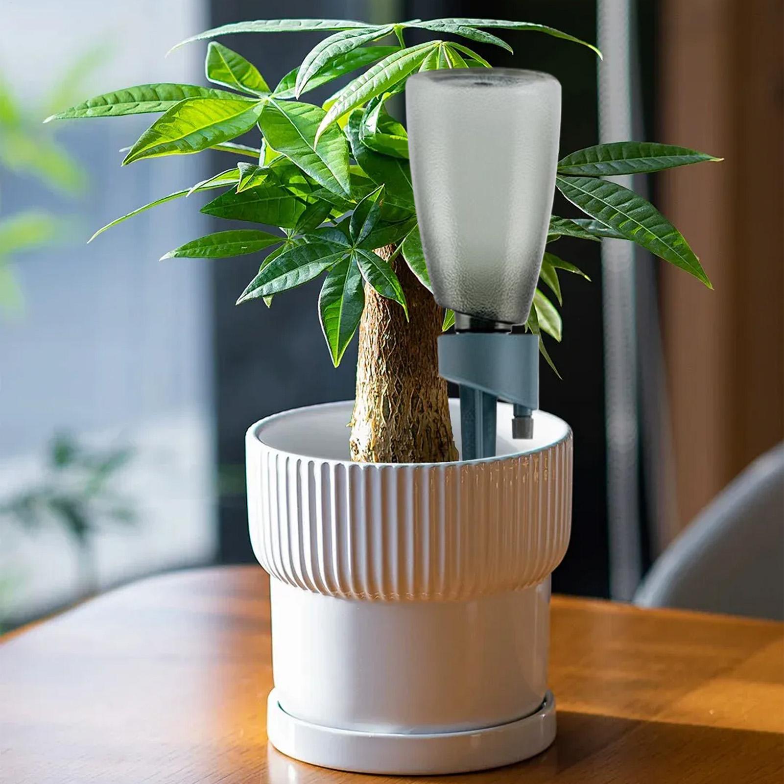 6 szt. Automatyczny podkaszacz – Smart Garden Herb recenzja i cena