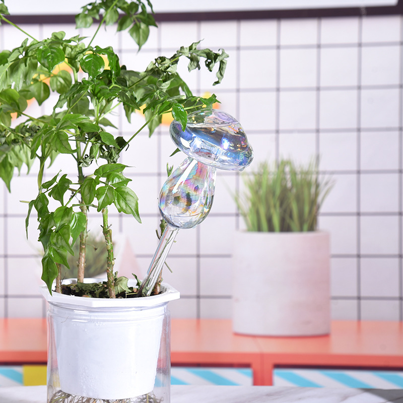 1/2PCS Szklana słomka Automaty – Smart Garden Herb recenzja i cena