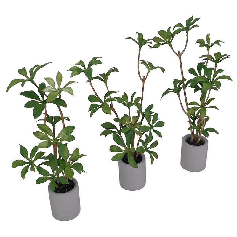 1:6 domek dla lalek miniaturow – Smart Garden Mini recenzja i cena