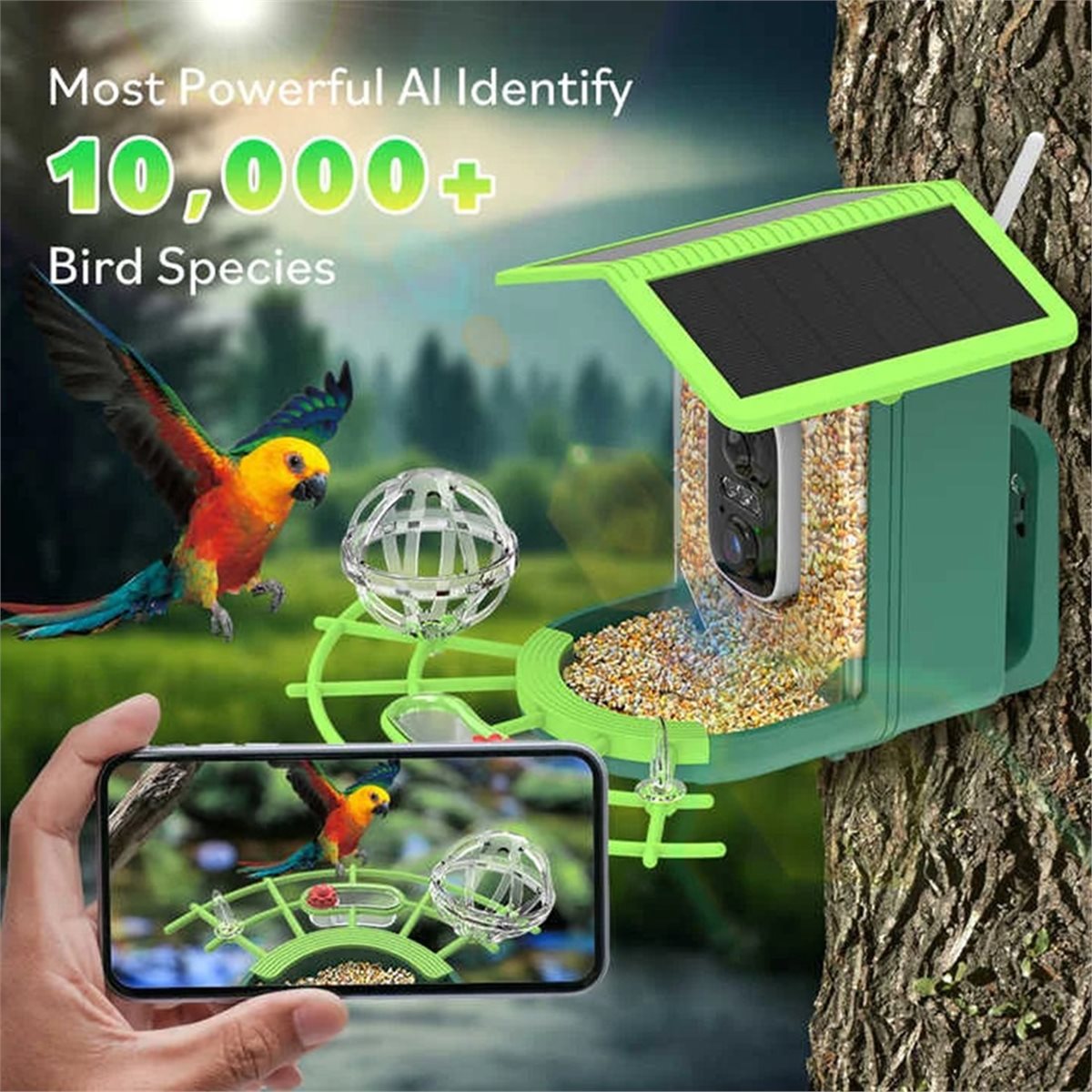 Inteligentna kamera do karmnik – Smart Garden Video recenzja i cena