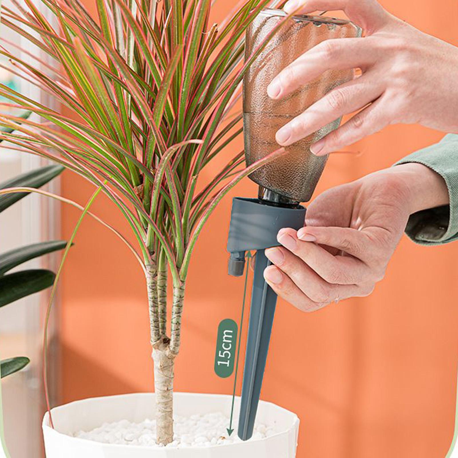 6 szt. Automatyczny podkaszacz – Smart Garden Herb recenzja i cena