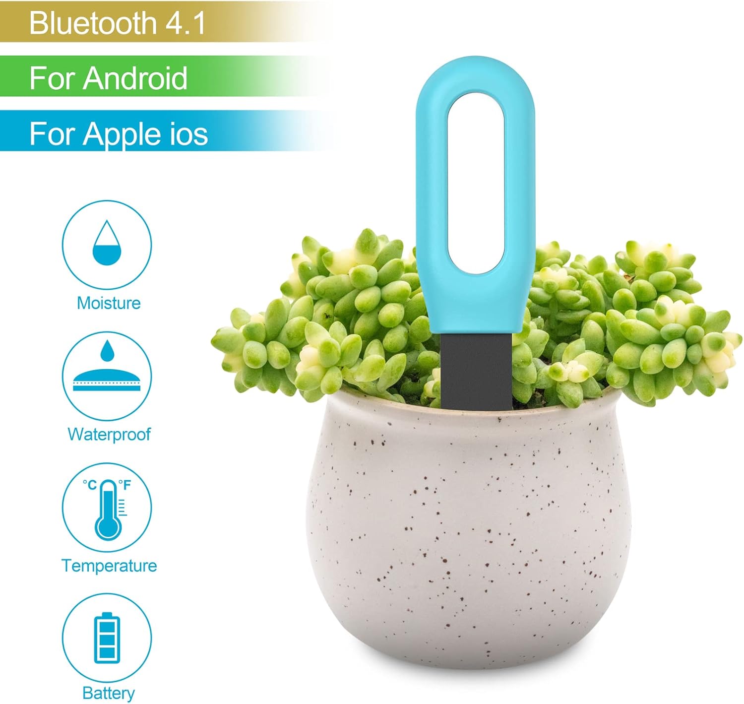 Inteligentny tester gleby Tuya – Smart Garden Products recenzja i cena