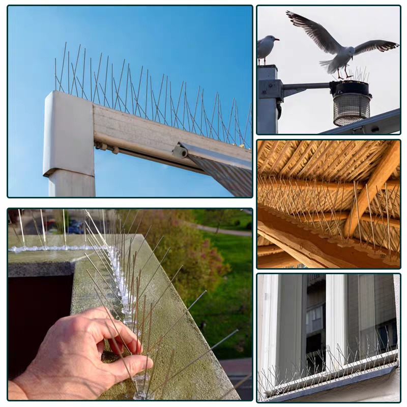 10/1x Kolce odstraszające gołę – Smart Garden Fence recenzja i cena