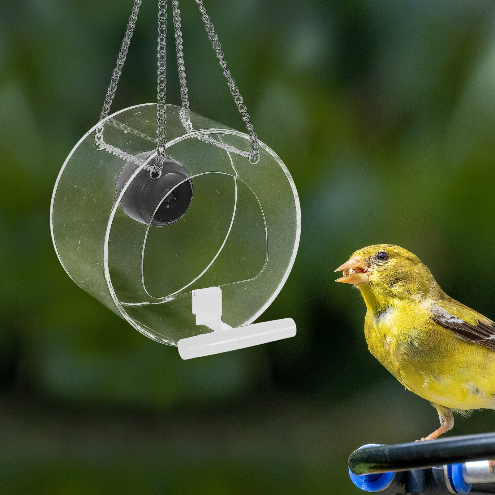 Inteligentna platforma z kamer – Smart Garden Video recenzja i cena